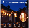 25-light 48ft Outdoor Plug-in Integrated LED Edison String Lights with Dimmer Timer, Bluetooth App Control