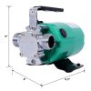 Water Transfer Pump, 115V 330 Gallon Per Hour - Portable Electric Utility Pump with 6' Water Hose Kit - To Remove Water From Garden, Hot Tub