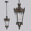 Antique Crown Outdoor Hanging Lantern, Waterproof Vintage Pendant Light with Ornate Metal Design and Clear Glass for Patio, Garden, Porch