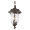 Rustic Outdoor Hanging Lantern, Weatherproof Vintage Pendant Light with Clear Glass Shade, Waterproof Exterior Lighting Fixture for Porch, Patio
