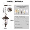 Rustic Outdoor Hanging Lantern, Weatherproof Vintage Pendant Light with Clear Glass Shade, Waterproof Exterior Lighting Fixture for Porch, Patio