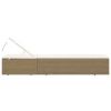 Sunlounger Poly Rattan Brown and Cream White