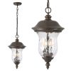 Rustic Outdoor Hanging Lantern, Weatherproof Vintage Pendant Light with Clear Glass Shade, Waterproof Exterior Lighting Fixture for Porch, Patio