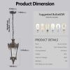Antique Crown Outdoor Hanging Lantern, Waterproof Vintage Pendant Light with Ornate Metal Design and Clear Glass for Patio, Garden, Porch