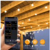 50-light 100ft LED Globe String Lights Bluetooth App Control