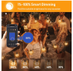 50-light 100ft LED Globe String Lights Bluetooth App Control